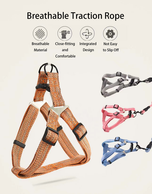 Comfort-Fit Dog Harness and Leash Set - Macaron Colors, No-Pull Design for Small to Medium Breeds, Secure & Adjustable Pet Gear